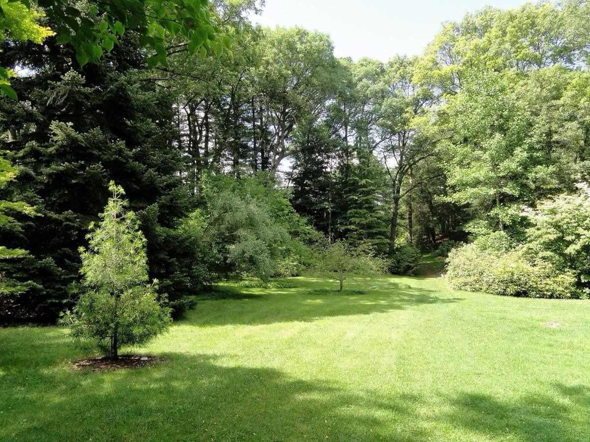 Wellesley College Botanic Gardens, Wellesley, Massachusetts. Photograph from Wikimedia Commons.