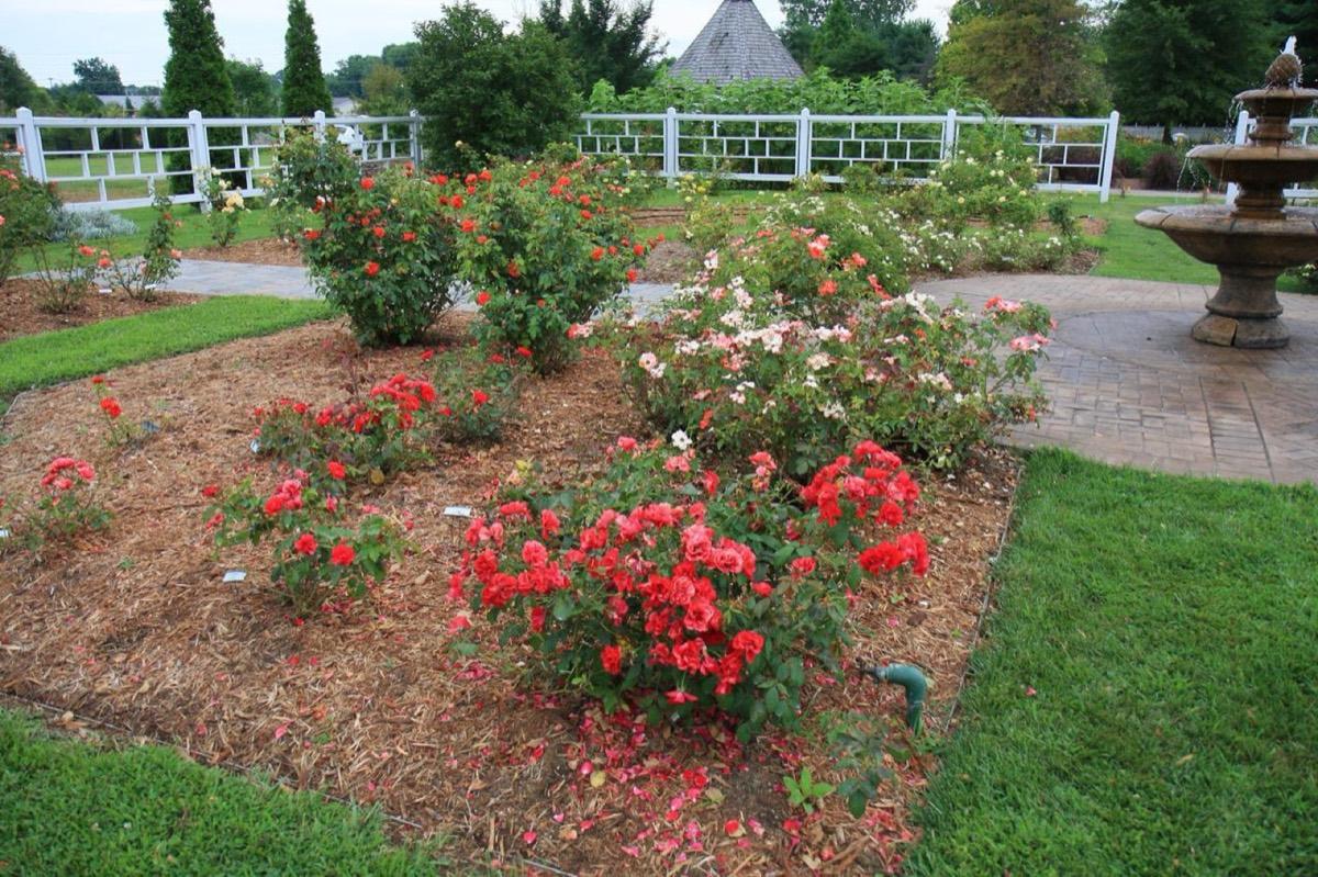 Western Kentucky Botanical Garden, Owensboro, Kentucky. Photograph from Wikimedia Commons.