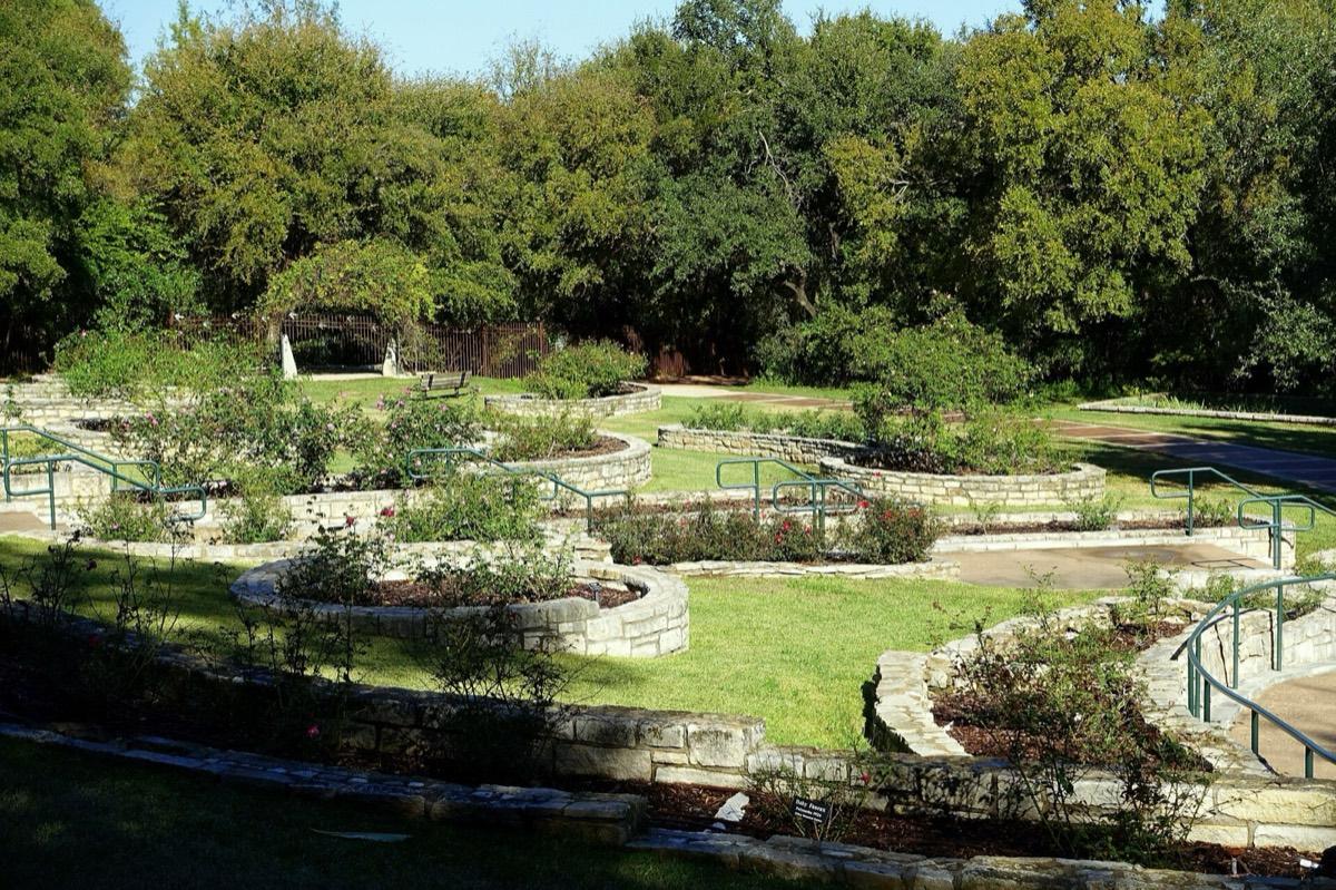 Zilker Botanical Garden, Austin, Texas. Photograph from Wikimedia Commons.